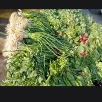 پخش سبزی نیشابور