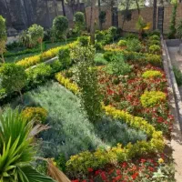 خدمات باغبانی هرس کاری باغچه کاری سمپاشی گل و گیاه