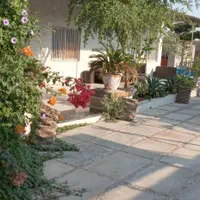 وبلا استخر دار