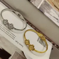 دستبند ونکلیف