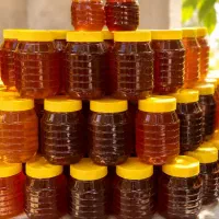 عسل تغذیه