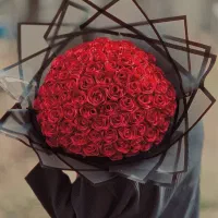 ۵۰ شاخه گل روبانی