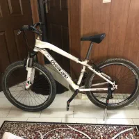 دوچرخه