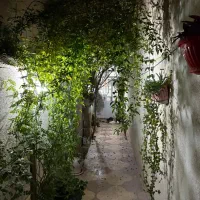 فروش زمین ۵۷۴ متر با بر ۲۳ خیابان امام