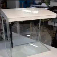 اکواریوم