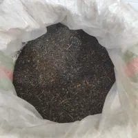 پخش‌ چای شمال مستقیم از کارخانه