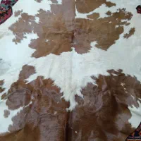 یک عدد پوست گاو طبیعی