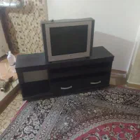 تلویزیون
