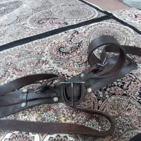 کمربند علم کشی