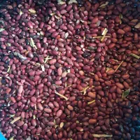 لوبیا|خوردنی و آشامیدنی|یاسوج, |دیوار