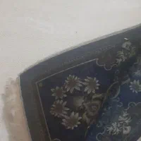 فرش|فرش|گلبهار, شهر جدید گلبهار|دیوار