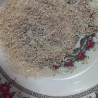 لاشه برنج فجر خوش،عطر پخت