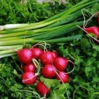 سبزی