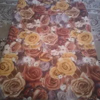 روبالشی نو۱۹۵جفتی