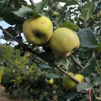 به تازه و عالی