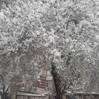 کارگری روزمزد  میدان بار باشه بهتره