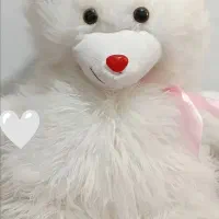 خرس وارداتی شبیه گرگ سفید کاملاََ نو
