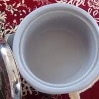پلوپز برقی