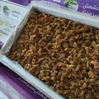 کشمش سبز
