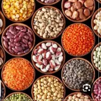خرید حبوبات نخود عدس و گرگرو
