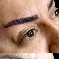 جذب مدل میکرو