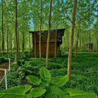 خریدعاقلانه-برای-زندگی-روشن