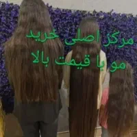 قژ بور موهای طبیعی و رنگی با بالاترین قیمت