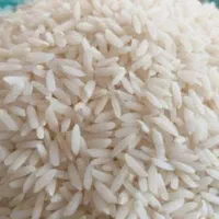 برنج علی کاظمی