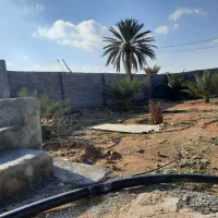 نیازمند استاد بنا