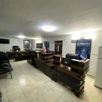 راننده نیسان