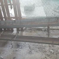 آخور بره