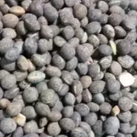 قره دنه یا سیاه دانه