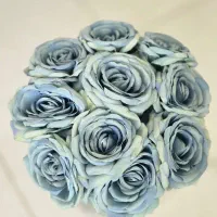 ۱۰ عددگل رز بزرگ وارداتی با گلدان ایکیا