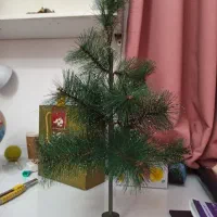 کاج مصنوعی ۵۰سانت