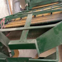 بذر یونجه محلی