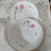 سرویس چینی گل میخک در حد نو