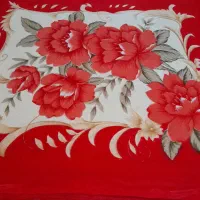 پتودونفره دولایه