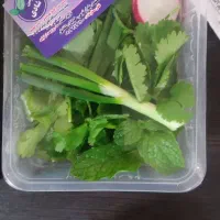 استخدام منشی و نیرو کار خانم کارگاه