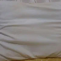 بالشت داستر