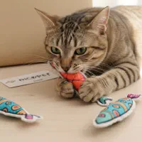 اسباب بازی پت