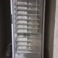 دستگاه جوجه کشی