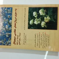 تعدادی کتاب به فروش می‌رسد