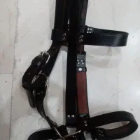 کله بند اسب انگلیسی