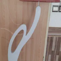 آباژور سالم و زیبا