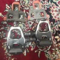 پنجه کورسی