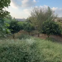 زمین-فروشی