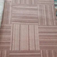 موکت پالاز