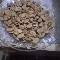 فروش باقلا خشک امساله