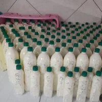 دوغ سنتی محلی