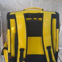 کوله حمل پرنده و گربه و خرگوش و همستر